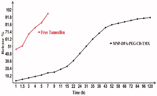 Figure 4. Release profile of TMX from CD-conjugated MNPs. Nearly 91% of TMX is released after 120 h. However, the same amount of free TMX was released only in 7 h.