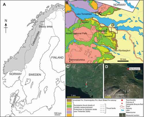 Figure 1. Maps of the study area. A. Map of Scandinavia showing the distribution of the Caledonian thrust sheets and the study area. B. Geological map of the Lake Torneträsk area, Lapland showing the studied localities. C. Satellite image of the Orddajohka rivulet area, north of Lake Torneträsk, showing the location of the measured section. D. Satellite image of the Mt Luobákte area south of Lake Torneträsk showing the location of the studied composite section compiled at sites 1 and 2. Distribution of rock units after Thelander (Citation2009); satellite images from Google Earth