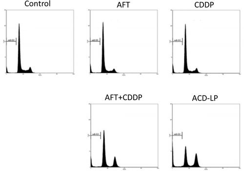 Figure 5 Cell cycle analysis of HONE1 cells using flow cytometry after staining with PI. The proportions of cells in the G0/G1, S, G2/M, and sub-G0 cell cycle phases were analyzed.