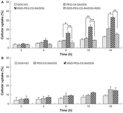 Figure 6 Cellular uptake percentage of free DOX, DOX-loaded micelles in (A) human hepatocellular carcinoma cell line cells and (B) human epithelial carcinoma cell line cells against incubation time.Notes: Data represent the mean ± standard deviation (n = 3). *P > 0.05 and **P < 0.01.Abbreviations: DOX, doxorubicin; PEG-CS-SA, poly(ethylene glycol)-modified stearic acid-grafted chitosan; RGD, Arg-Gly-Asp.