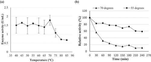 Figure 11. (a) Temperature optima and (b) stability at 55 °C and 70 °C of (PS1) Chaetomella sp. crude β-glucosidase extract produced under optimal conditions (Day 12, 3 °֯C, 150 r/min, 0.5% soy peptone, 1.25% cellobiose) and assayed using 4-nitrophenyl-β-D-glucopyranoside as substrate at 55 °C and OD410 nm (Mean ±SD, N = 2).
