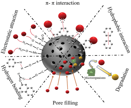 Figure 7. Possible mechanisms of biochar for emerging pollutants adsorption. Reproduced with permission of https://creativecommons.org/licenses/by/4.0/. from a study by Dong et al. (Citation2023). Biochar for the removal of emerging pollutants from aquatic systems: a review. International Journal of Environmental Research and Public Health, 20(3), 1679. https://doi.org/10.3390/ijerph20031679.