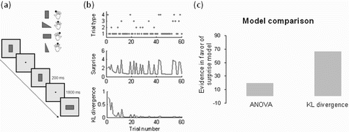 Figure 3 Example of model-based analysis of event-related potential (ERP) data in a choice reaction time task. (a) Participants responded with button presses to visual stimuli presented every 2 seconds. (b) Manipulating the occurrence of different trials (top) allows calculation of surprise/Shannon information (middle) and Kullback–Leibler (KL) divergence (bottom) on a trial-by-trial basis. (c) Model comparison shows that surprise/Shannon information provides the best description of the data. Positive score on y-axis indicates evidence in favour of the surprise model as compared to a traditional analysis of variance (ANOVA) model and the KL divergence. From “Trial-by-Trial Fluctuations in the Event-Related Electroencephalogram Reflect Dynamic Changes in the Degree of Surprise”, by R. B. Mars et al., Citation2008, Journal of Neuroscience, 28, pp. 12539–12545. Copyright 2008 by the Name of Copyright Holder. Adapted with permission.