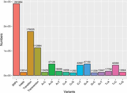 Figure 2. Bar graph showing the distribution of different SNP types derived from the sunn hemp transcriptome assembly. The number of SNP loci of different types was mentioned above the bars.