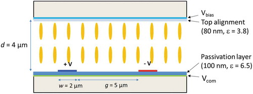 Figure 2. Schematic diagram of the proposed single-rubbing VA-FIS mode.Reproduced from Ref. [Citation23], with the permission of The Society for Information Display.