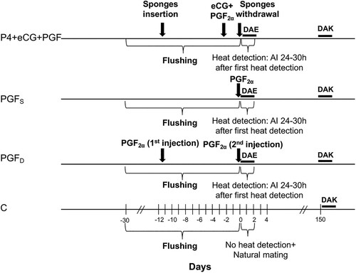 Figure 1. Schematic representation of the experimental design.