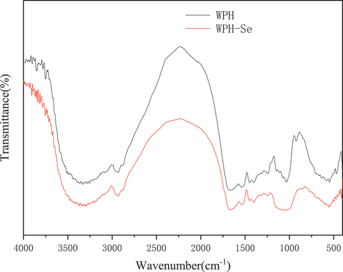 Figure 3. FTIR spectra of WPH and WPH-Se chelate.