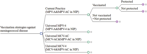 Figure 1. Decision tree-markov model.