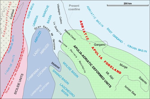 Figure 2. Paleogeographic domains of central and southern Apennines including the Molise area (redrawn from CitationVezzani et al., 2010).