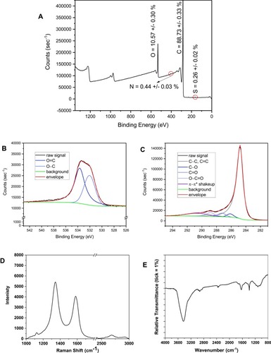 Figure 1 X-ray photoelectron spectroscopy survey scan (A), O1s narrow scan (B), and C1s narrow scan (C). Average atomic percent (O is oxygen as determined from O1s peak, N is nitrogen as determined from N1s peak, C is carbon as determined from C1s peak, and S is sulfur as determined from S2p peak) and standard deviation from data sets are given in the survey scan. Data collected on the low-oxygen graphene (LOG) sample by Raman spectroscopy (D) and infrared spectroscopy (E) are also displayed.
