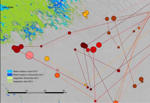 Fig. 7 Movement of Gorane communities in the study zone. Circle size indicates length of stay in each position. Each colour represents a different community.