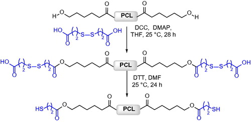 Figure 6. Synthesis of telechelic and star-shaped PCL with thiol end groups.