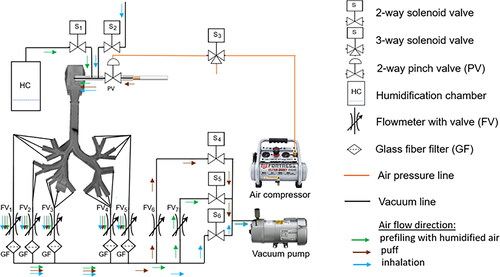 Figure 2. Schematic diagram of the in vitro model of the human respiratory tract.