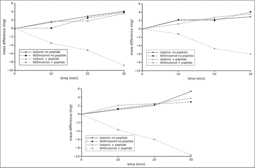 Figure 4. Typical flux measurements under different osmotic conditions in the presence and absence of the inhibitory peptide. The flux was determined indirectly by measuring the mass difference of the insert over time. While normally the cells can cope with a rather high osmotic gradient for water into the lumen, the inhibitory peptide impairs this ability. Under isotonic conditions the peptide has no visible effect. The panels correspond to 3 independent measurements on different trans well filters.