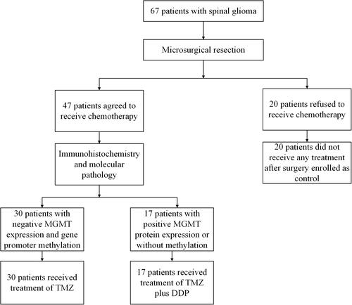 Figure 1 The flow of patients.