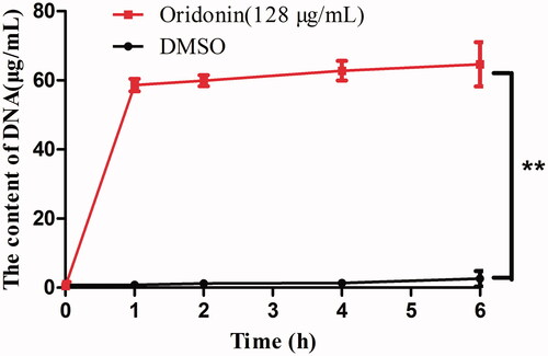 Figure 3. Effects of oridonin (128 μg/mL) on the permeability of USA300 cell wall (oridonin group versus DMSO group, **p < 0.01).