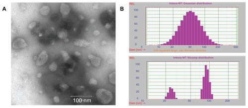 Figure 2 (A) Transmission electron microscopic images of liquid crystalline nanoparticles and (B) particle size of liquid crystalline nanoparticles when fit to Gaussian (up) and Nicomp (down) distributions, respectively.