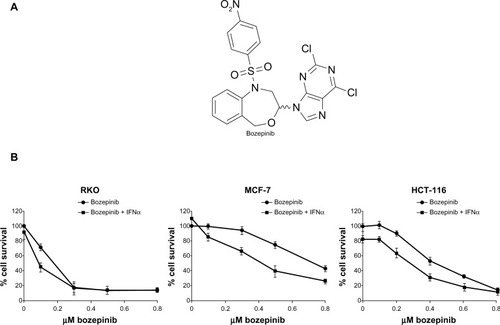 Figure 1 Cytotoxic effect of bozepinib and combined bozepinib/IFNα therapy. (A) Chemical structure of bozepinib. (B) MCF-7, HCT-116, and RKO cell lines treated with increasing amounts of bozepinib alone (circle) or in combination with 50 IU/mL IFNα (square) for 6 days as described in the Materials and methods section. Cell lines have been defined in material and methods section. The curve for cell survival is represented as a percentage compared to mock-treated cells. Values shown represent the mean of triplicate determinations calculated from a single experiment. Experiments were repeated at least three times.
