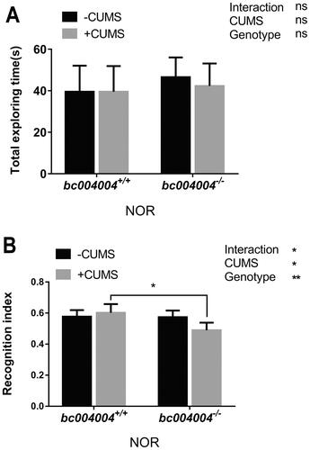 Figure 3. Novel object recognition (NOR) test in mice exposed to 21-day of CUMS treatment.