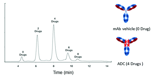 Figure 4. Antibody to drug ratio determined for an ADC on a TSKgel ether-5PW HIC-HPLC column. Stars represent drug attached to the mAb. Chromatogram reproduced with permission from Fredric S. Jacobson (ref. Citation16).