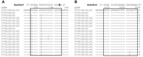 Figure 2 Binding sites of the primer set used in the step 1 PCR. (A) Forward primer HLACB1F: a mismatch (replacement of G with T) at the penultimate position of the 3′ terminus is shown in grey. (B) Reverse primer HLACB1R. The reference sequences were obtained from https://www.ebi.ac.uk/ipd/imgt/hla/.Citation17