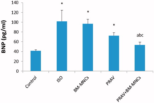Figure 2. Levels of serum BNP. Rats were injected twice with ISO to induce AMI. Oral PRAV for 4 weeks in combination with BM-MNC significantly decreased the serum BNP level in infarcted rats (p < 0.05). Results are expressed as mean (± SD; n = 10/group). *Value significantly different from Control rats; afrom ISO; bfrom BM-MNC; and cfrom PRAV-treated rats (all p < 0.05).