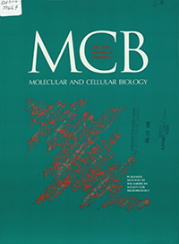 Cover image for Molecular and Cellular Biology, Volume 12, Issue 4, 1992