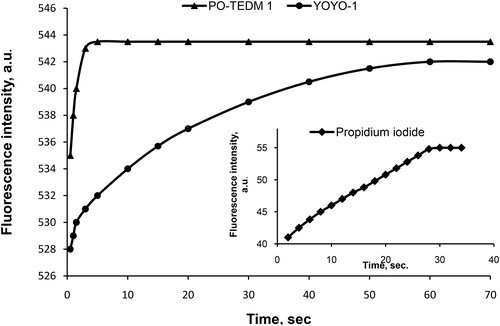 Figure 3. Kinetics of interaction of PO-TEDM-1, YOYO-1 and propidium iodide with DNA at optimal concentration of the components.