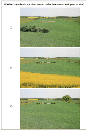 Figure 3. Example of a choice set presented to respondents.