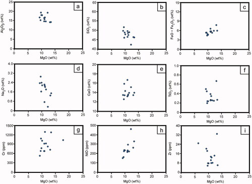 Figure 3. Major and trace elements vs MgO (wt%) for the gabbro samples collected from the Cowley Ophiolite Complex.