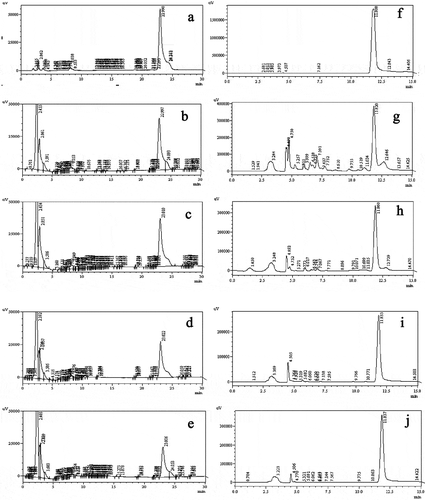 Figure 3. HPLC chromatographic profile of Lupeol and Umbelliferone of different banana flower and bract extracts. (A)Standard for Luepol; (B) FE-95%-RT for Luepol (C) FE-95%-50°C for Luepol; (D) BE-95%-RT for Luepol; (E) BE-95%-50° for Luepol; (F) Standard for Umbelliferone; (G) FE-95%-RT for Umbelliferone; (H) FE-95%-50° for Umbelliferone; (I) BE-95%-RT for Umbelliferone; (E)BE-95%-50°for UmbelliferoneFE-95%-RT: Banana flower 95% ethanol extract at room temperature, FE-95%-50°: Banana flower 95% ethanol extract at 50°, BE-95%-RT: Bract 95% ethanol extract at room temperature, BE-95%-50°: Bract 95% ethanol extract at 50°