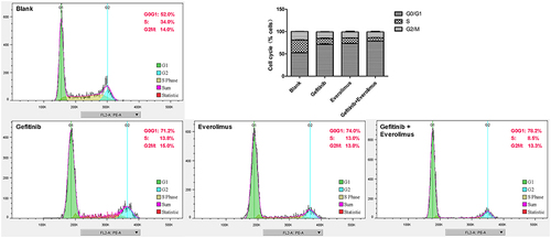 Figure 5 MDA-MB-468 cell cycle arrested induced by gefitinib and everolimus. MDA-MB-468 cells were treated with gefitinib, everolimus, and a combination of both for 48 h; subsequently, they were detected by flow cytometry.