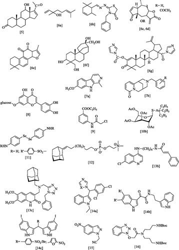 Figure 2. Examples of investigational anti-leishmanial agentsCitation5–16.