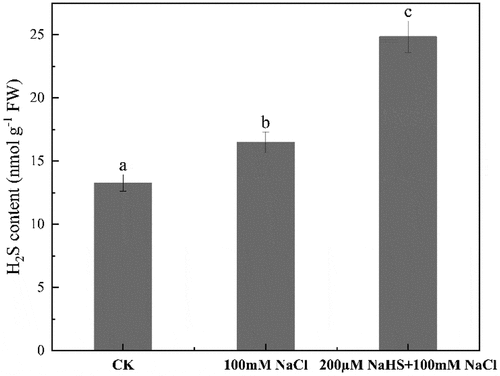 Figure 2. Effect of NaHS on endogenous hydrogen sulfide content of millet seedlings under salt stress. Each value is the mean of three biological replicates, with different lowercase letters indicating significant differences between treatments (P＜.05).