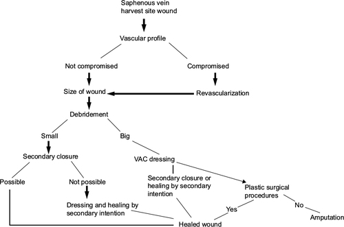 Figure 4 Algorithm for the management of saphenous vein harvest site wound.