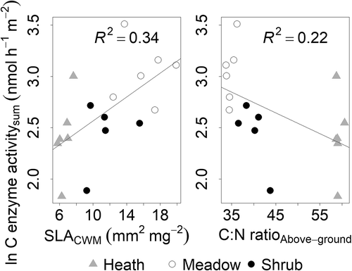 Figure 4. Total enzyme activity of β-glucosidase (b-gluc), cellobiohydrolase (cbh), β-xylosidase (xylo) (C enzyme activitysum) (nmol h–1 m–2) correlated with “vegetation woodiness” across alpine Empetrum-dominated heath, meadow, and Salix-shrub plant communities in Dovre Mountains, central Norway. Left, community-weighted mean of SLA (SLACWM; p = 0.009) and right, C:N ratio of aboveground vegetation (C:N ratioAbove-ground; n = 17).