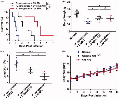 Figure 7. In vivo anti-P. aeruginosa activity test. (A) Survival curve were monitored in the following 7 d upon P. aeruginosa infection. (B) Body weight was measured 24 h post infection. (C) Lung tissue fungal burdens were tested using CFU assay. (D) MTD (maximum tolerated dose) experiment of original CM (2.0 mg/kg) and CM NPs (2.0 mg/kg).