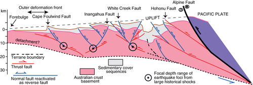 Figure 10 Schematic summary cross-section that illustrates the relationship between moderately to steeply dipping sets of conjugate inverted normal faults and low-angle thrust faults that remain blind within the basement, with the exception of the Hohonu Thrust Fault. The structural style of basement pop-ups and depressions controls the geometry of the Palaeogene and Neogene cover sequences and imparts a short-wavelength undulation superimposed on the regional eastward flexure of Australian crust against the plate boundary. Propagation of low-angle thrust faults as footwall shortcuts of the Alpine Fault is arguably controlling the westward migration in regional uplift documented by distribution and facies of the Miocene–Quaternary sediments. All major faults could be reactivated in the present stress field, with rupture during moderate to large earthquakes (e.g. 1929, Mw7.8 Buller; 1968, Mw7.1 Inangahua; 1962, Mw5.9 Westport; 1991, Mw5.8 Hawk's Crag) propagating along staircase trajectories controlled by faults with different dips.
