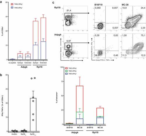 Figure 5. Specificity to mutated peptide and direct recognition of tumor cells. (a) Minimal synthetic neo-peptide was compared to N- and C-terminally extended “long” peptides in intracellular cytokine staining of activated T cells upon coculture with peptide-loaded dendritic cells. (n = 6, error bars depict SEM) (b) Rpl18-specific T cell bulks were stimulated with either mutated or wild-type extended peptides to determine specificity to the single amino-acid mutation. (c) In vitro recognition of live MC-38 vs B16F10 melanoma control tumor cells by tetramer-stained T cells in Rpl18+ (5 out of 6 original bulks) and Adpgk+ (3 out of 6) cultures. A representative gating-plot of a single culture is shown (top). Tumor-specific single and double cytokine production for both Adpgk and Rpl18-specific T cells is shown below.