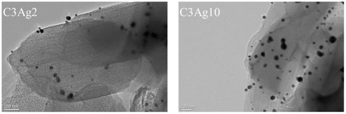 Figure 2 TEM images of C3Ag2 and C3Ag10.