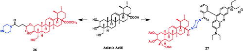 Figure 12. Chemical structures of asiatic acid and its derivatives.
