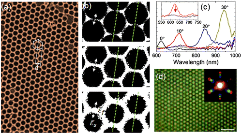 Figure 10. (a) 2D IO of SnO2 formed from Sn(II) acetate directly on silicon. The effective grating spacing d is defined as the half-period of the trigonal lattice formed by the IO. In (b), the variation of the IO walls as a function of electrochemically induced isotropic swelling is diagrammatically represented. The 2D planar grating period is overlaid. Here, the ratio of dielectric constants changes. (c) Angle resolved reflectance spectra for an opal 2D diffraction grating and (inset) the suppression of diffraction following the onset of lattice disorder. (d) An inverse opal from azo-benzene that projects a diffraction pattern from white light with a wavelength-dependent dispersion of diffraction maxima. These features are sensitive to short range order modification.