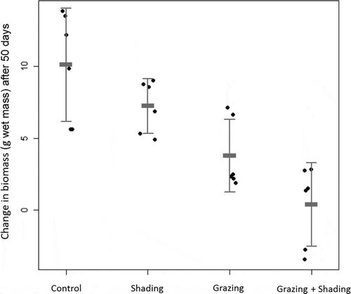 Fig. 4. Change in frond biomass wet mass (g WM) of Fucus radicans in control and three treatments (Shaded, Grazed and Grazed+Shaded, n = 6) after 50 days (July–September). Error bars show mean and 95% confidence interval.
