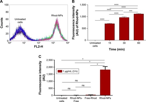 Figure 3 (A) FACS histograms of 10,000 hCMEC/D3 cells treated for 3 hours with Rhod-NPs or untreated cells. (B) Time-dependent interaction of Rhod-NPs with hCMEC/D3. Each value is the mean of the median fluorescence of 10,000 cells from three independent experiments. ***P<0.001, ****P<0.0001 by one way ANOVA followed by Tukey’s multiple comparison (n=3). (C) Uptake of Rhod-NPs; Rhod-NPs-Free (not incorporated into the NPs) and Free-Rhod in comparison with untreated cells at 3 hours.Notes: Each value is the mean of three independent experiments. *P<0.05 by one way ANOVA and Tukey’s multiple comparison (n=3).Abbreviations: FACS, fluorescence-activated cell sorting; hCMEC/D3, human brain microvascular endothelial cell line; Rhod-NPs, Rhod-nanoparticles; NS, not significant.