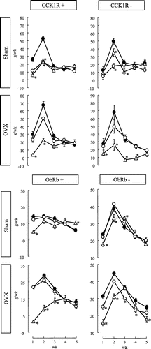 Fig. 2. Weekly changes in the amount of body weight gain in CCK1R+, CCK1R−, ObRb+, and ObRb− rats.