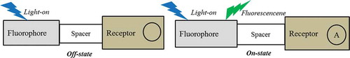 Figure 2. Schematic illustration of a fluorescent PET sensor molecule. The fluorophore part is responsible for fluorescence emission and the receptor is designed for a particular cation (Na+, K+, Ca2+). [Left: In absence of the targeted analyte, fluorescence is absent (OFF-state). Right: If an analyte (indicated by “A”) is captured by the receptor, the molecule will emit light fluorescence when excited (ON-state)].
