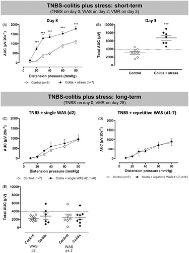 Figure 5. Short- and long-term effects of TNBS-induced colitis combined with exposure to WAS (filled diamonds) compared to saline enema and sham stress (open diamonds). In the short-term protocol, VMRs were evaluated 3 days after induction of TNBS-colitis and WAS was performed on Day 2 (A and B). In the long-term experiment, visceral sensitivity was assessed 28 days post-induction of colitis and rats were exposed either to single WAS on Day 2 (C) or repetitive WAS on Days 1–7 (D). Data are presented as the AUC for the individual distension pressures (A, C and D; analyzed by generalized estimating equations) or as the total AUC (B and E, unpaired Student’s t-test). The dashed line in B and E represents the 90th percentile for controls as an upper limit for normosensitivity. Results are expressed as mean ± SEM; ***p < 0.001 compared to controls.