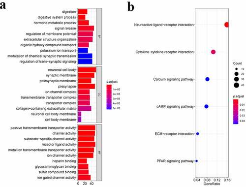 Figure 4. Functional enrichment analysis of DEGs. a. Top 10 biological process (BP) terms, cellular components (CC) terms, molecular functions (MF) terms. b. Top 6 Kyoto Encyclopedia of Genes and Genomes (KEGG) pathways