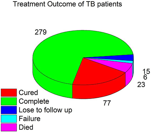 Figure 2 Treatment outcomes of the TB patients at four public hospitals in the South Gondar administration Zone from 2017 to 2021 (N=400).