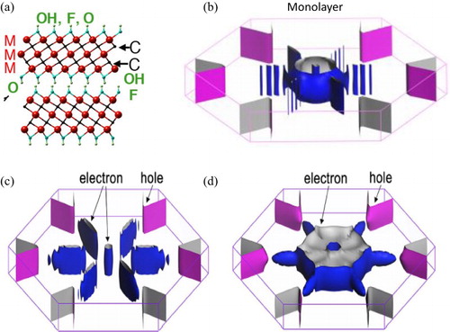 Figure 9. (a) Schematic of Mn + 1CnTx MXene showing OH, O and F terminations. (b) FS of a Ti3C2(OH)2 monolayer. FS of multilayers assuming the MX-block stacking in (a) is, (c) Bernal or, (d) simple hexagonal [Citation67].